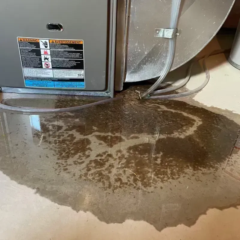 Appliance Leak Cleanup in Fair Grove, MO